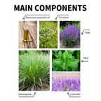 Hair Loss Treatment Serum 30Ml (Pack Of 1)